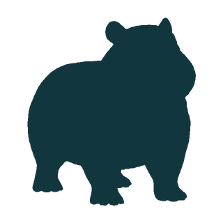 Silhouette of Dawncap