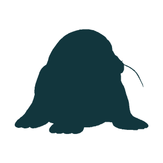 Silhouette of Flurrump