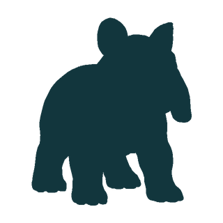 Umbrusk silhouette